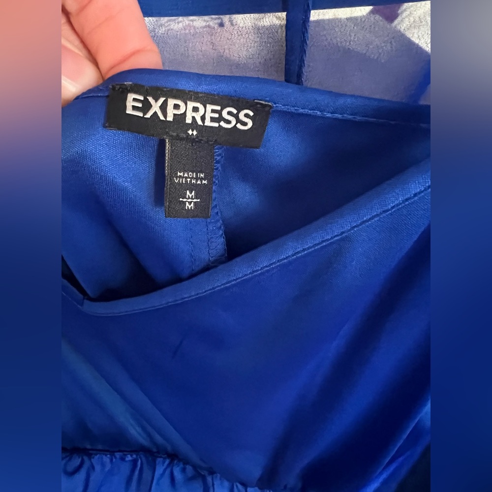 Express Dress - Picture 2 of 5